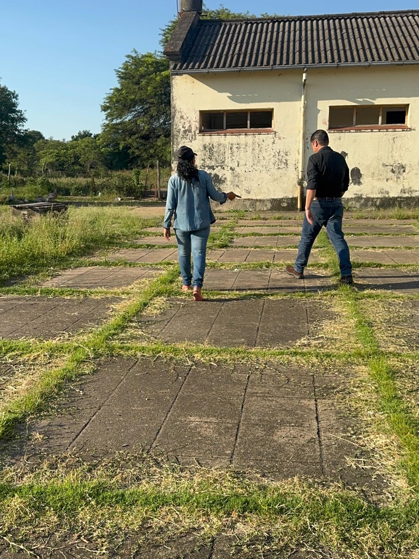 El intendente Ariel Lovey verificó trabajos de desmalezamiento en instituciones educativas